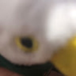 Meet your Posher, Meghan